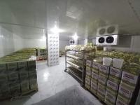 images/sogutma/1-soguk-hava-deposu/soguk-hava-deposu-13.jpg